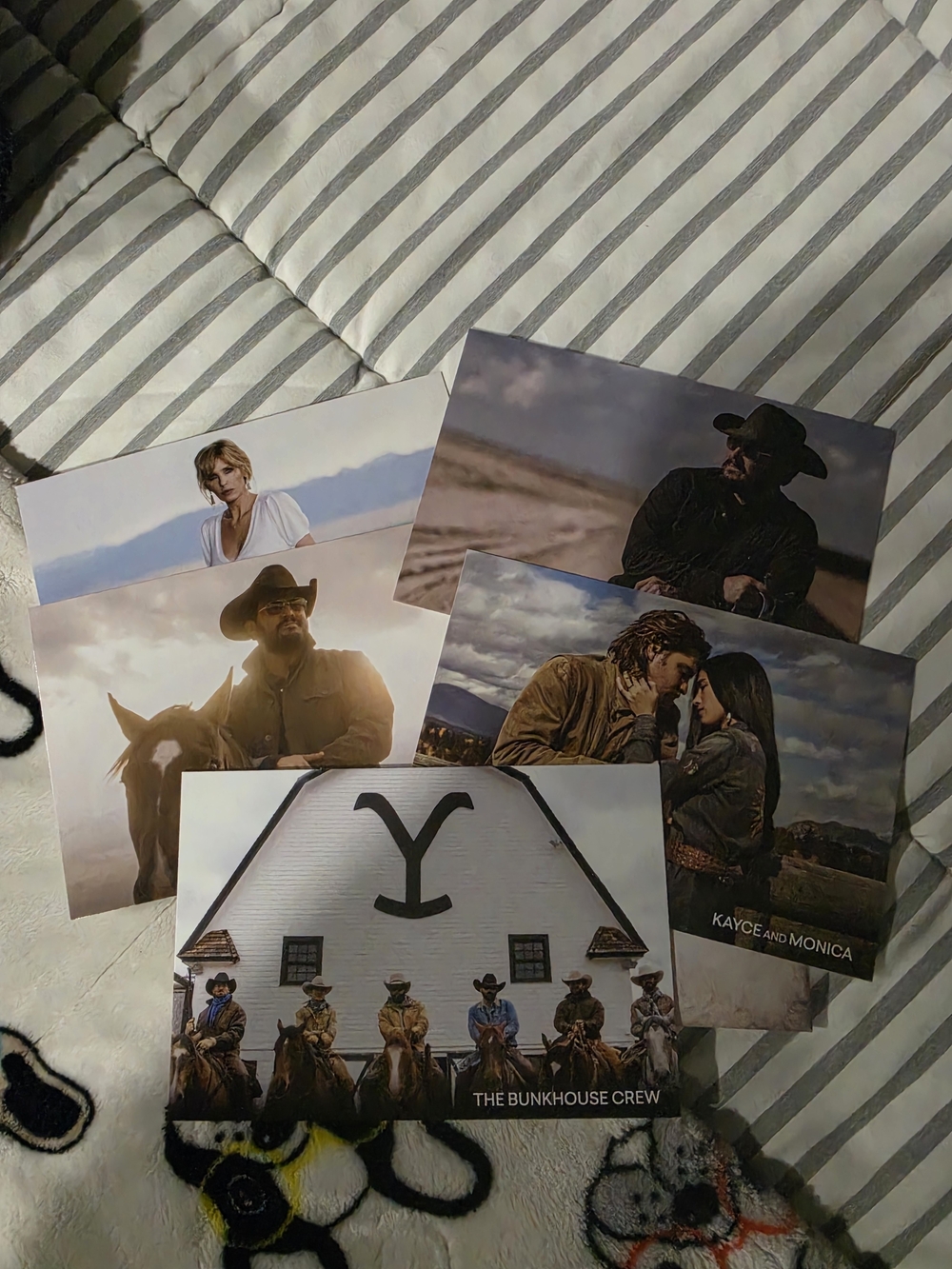 5 Postcard prints from Yellowstone Series